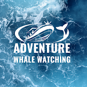 Adventure Whale Watching San Diego