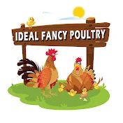 Ideal Fancy Poultry