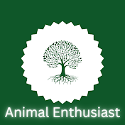 Animal Enthusiast