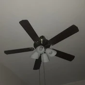 Nice and cool ceiling fan collector season 2