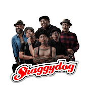 THE DOGGY TV - SHAGGYDOG