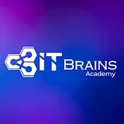 IT Brains Academy