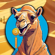 Crypto Camel