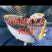 Danny’s koi channel