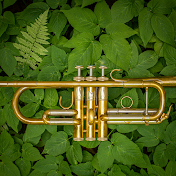 Steven Emery Trumpet