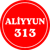 Aliyyun_313