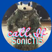 CallOfSonic115