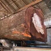 Blitar Sawmill