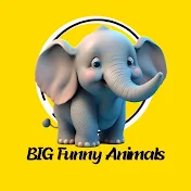 Big Funny Animals