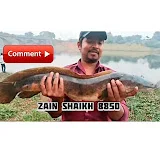 Zain Shaikh 8850