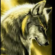 golden wolf