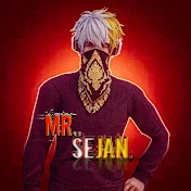 Mr..Sejan.