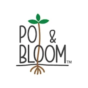 Pot and Bloom