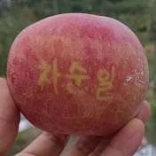 가바골 애플농원 Gabagol Apple