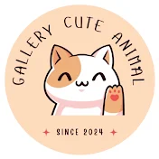 Gallery Cute Animal