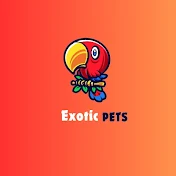 Exotic Pets