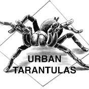 Urban Tarantulas