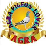 Agra pigeon lover's