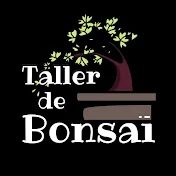 Taller de Bonsai