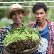 เกษตรสุขณทุ่งเขาเขียว