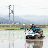 【大失敗農家】なおたん