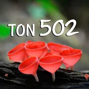 ton502