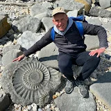 Lyme Regis Fossils