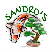 Sandro’s Koi & Bonsai