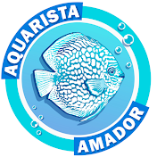 Canal do Aquarista Amador por Rafael Rohden