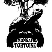 Bonsai Tortoise