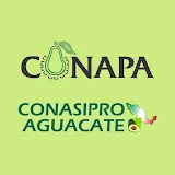 Conapa-Conasipro