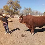 Ganadero  mexicano Oficial🐂