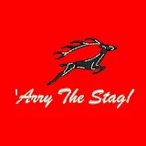 Arry The Stag