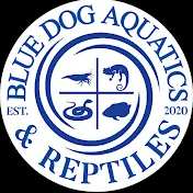 Blue Dog Aquatics