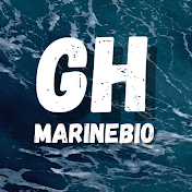 GHMarineBio