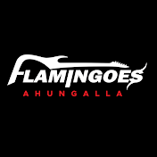 FLAMINGOES