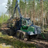 Scandinavian Logging