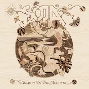 SOJA - Topic