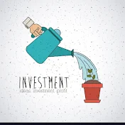 THE INVESTMENT