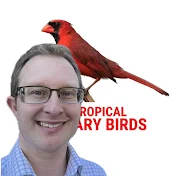 Tropical Aviary Birds - Torben Dehlholm
