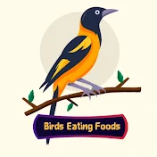 Birds Eating Food