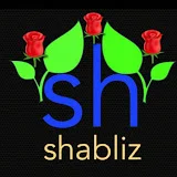 shabliz24