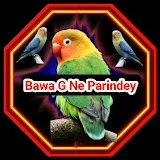 BAWA G Ne Parindey