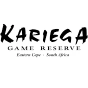 Kariega Game Reserve