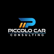 Piccolo Car Consulting_