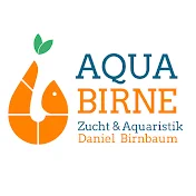 Aqua-Birne