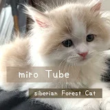 miro Tube