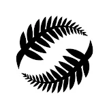 New Zealand Football