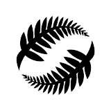 New Zealand Football