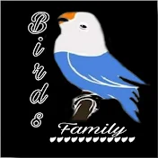 Bird's Family